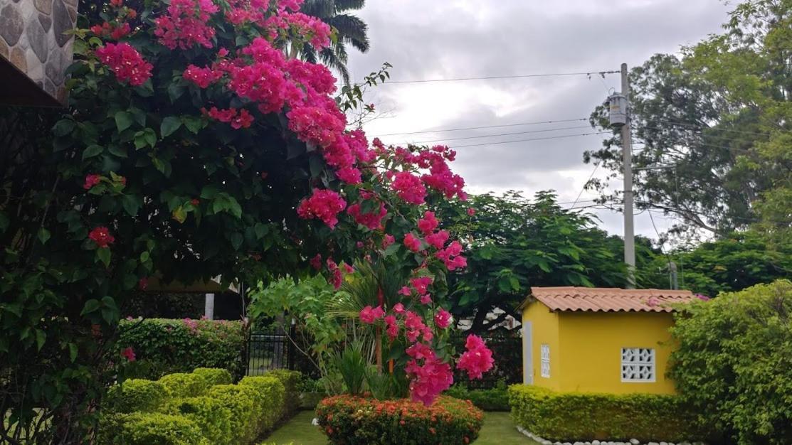 Casa De Los Suenos B&B Coronado Panama Playa Coronado Eksteriør bilde