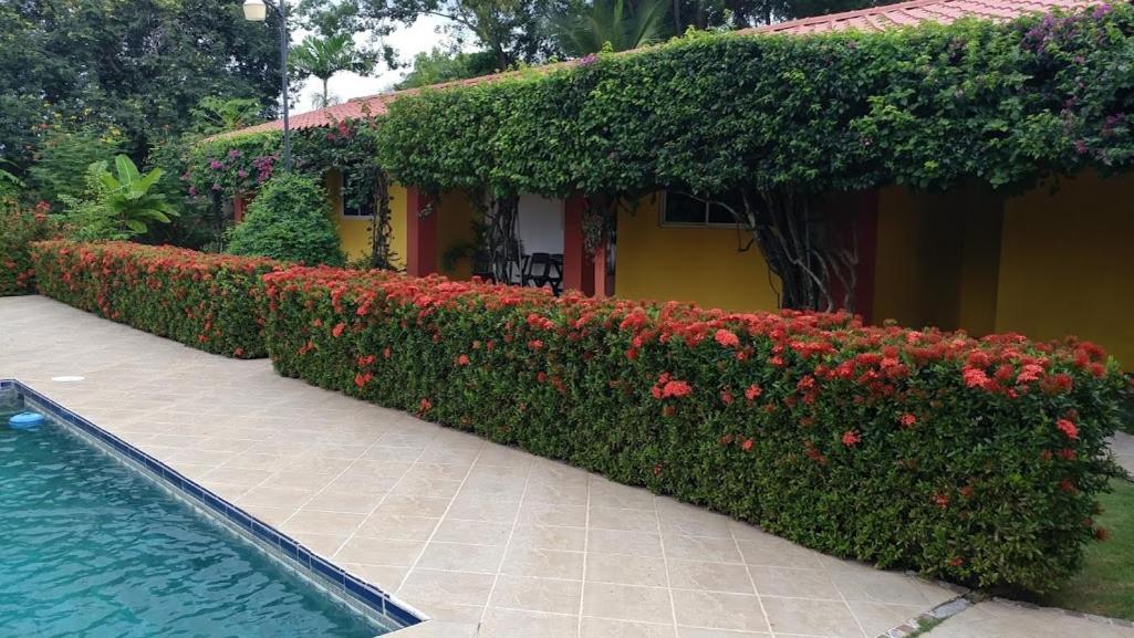 Casa De Los Suenos B&B Coronado Panama Playa Coronado Eksteriør bilde